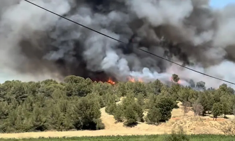 Aude : sept feux déclenchés par une remorque, plus de 200 pompiers mobilisés