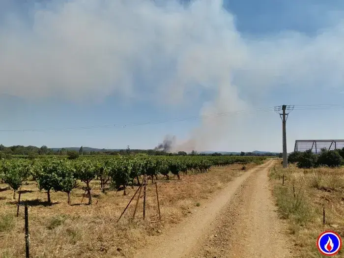 Feu dans l'Aude à Bizanet.